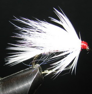 ���� ������ Wet fly 